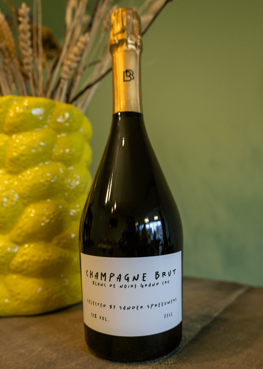 PubliLemon - Modest - 0125-02 groott