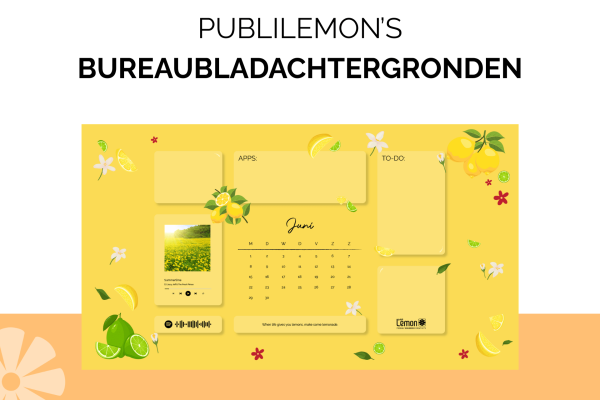 Kopie van PUBLILEMON’S